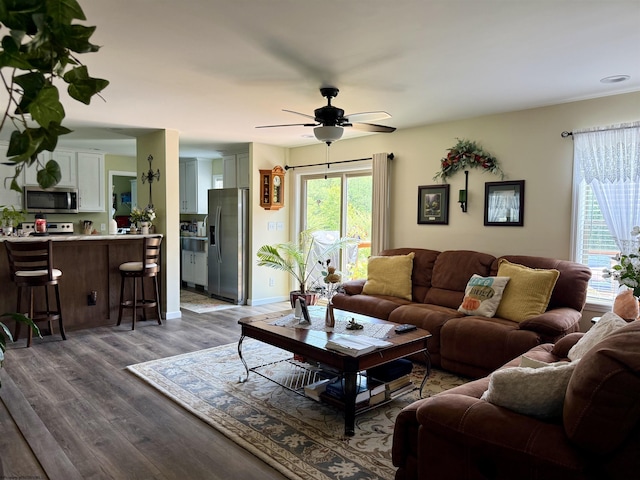 114 Snowy Ridge Rd, Terra Alta, WV 26764 - living area featuring healthy amount of natural light, a ceiling fan, and dark wood-style floors