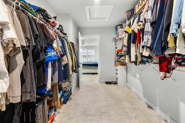 204 Falling Water Ln, Morgantown, WV 26508 - spacious closet with attic access and carpet floors
