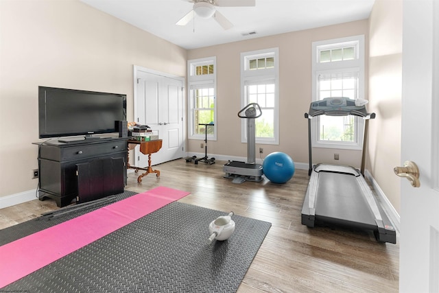 1009 Summit Dr, Morgantown, WV 26508 - exercise room with ceiling fan and wood finished floors