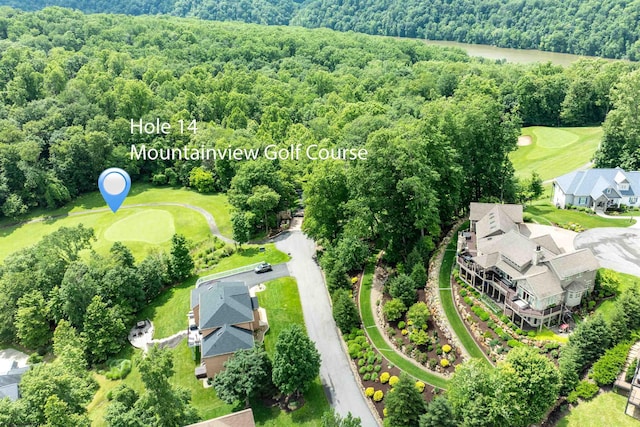 1009 Summit Dr, Morgantown, WV 26508 - aerial view of a forest and a golf course