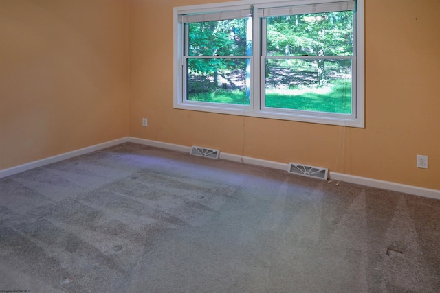 6 Sorrel Ct, Terra Alta, WV 26764 - carpeted spare room featuring healthy amount of natural light
