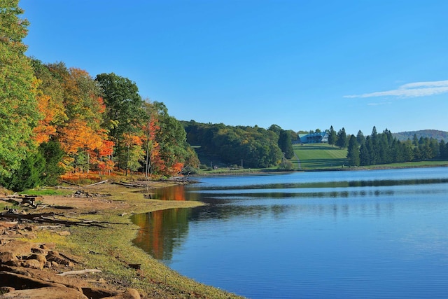 6 Sorrel Ct, Terra Alta, WV 26764 - water view featuring a heavily wooded area