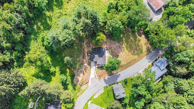 552 White Ave, Morgantown, WV 26501 - aerial view of property's location