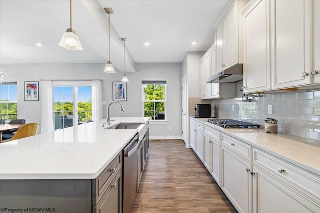 245 Falling Water Ln, Morgantown, WV 26508 - kitchen featuring under cabinet range hood, stainless steel appliances, dark wood-style flooring, plenty of natural light, and recessed lighting