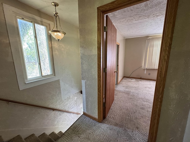 113 Buckhannon Ave, Clarksburg, WV 26301 - corridor featuring a textured wall, carpet, and a textured ceiling