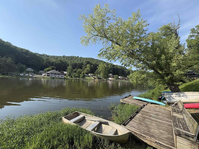 1998 Lake Floyd Cir, Bristol, WV 26426 - dock area with a water view and a view of trees