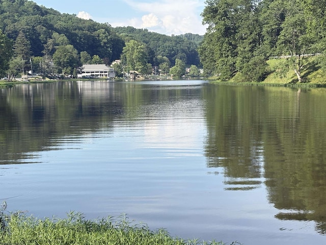1998 Lake Floyd Cir, Bristol, WV 26426 - water view with a forest