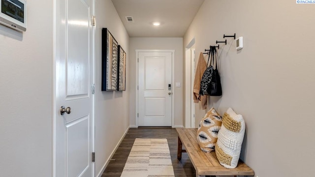 mudroom with dark wood-type flooring