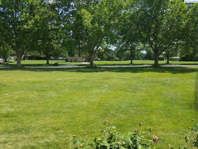 2024 Weiskopf Ct, Richland, WA 99352 - photo 20