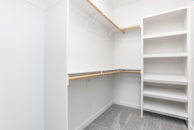 8509 Ashen Dr, Pasco, WA 99301 - spacious closet with carpet flooring