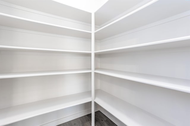 8509 Ashen Dr, Pasco, WA 99301 - view of pantry