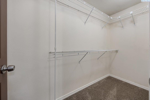 3704 W Jay St, Pasco, WA 99301 - photo 20