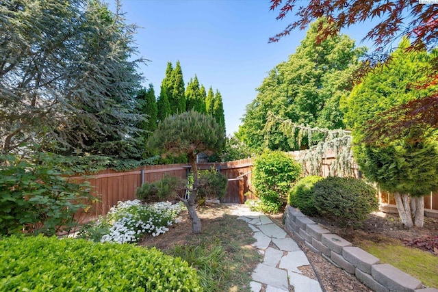 3610 S Johnson St, Kennewick, WA 99337 - view of fenced backyard