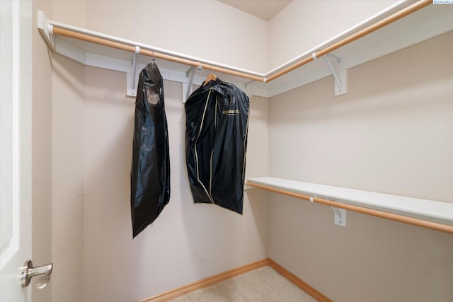 3610 S Johnson St, Kennewick, WA 99337 - spacious closet featuring carpet flooring