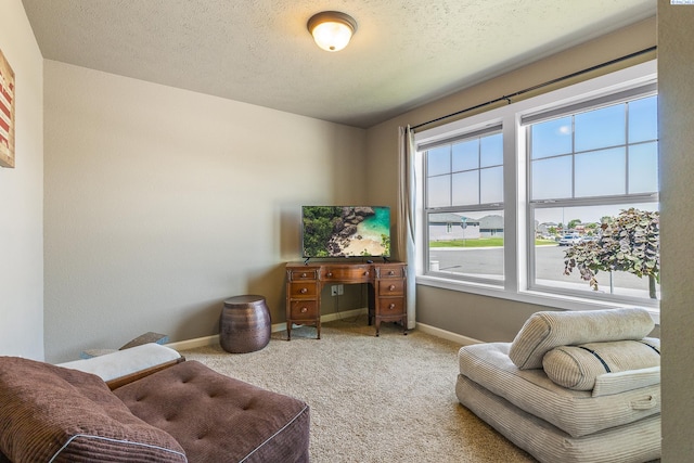 5602 Pierre Dr, Pasco, WA 99301 - photo 4