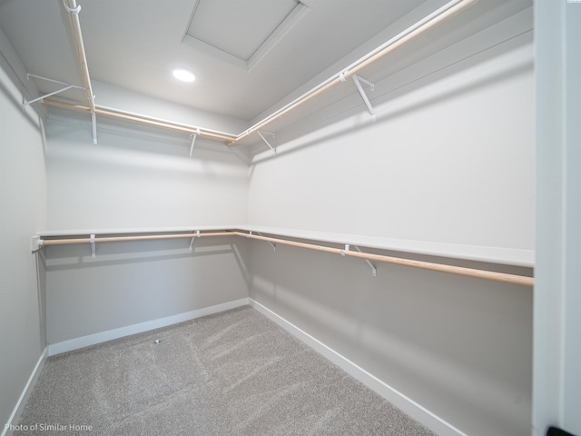 spacious closet featuring carpet floors and attic access