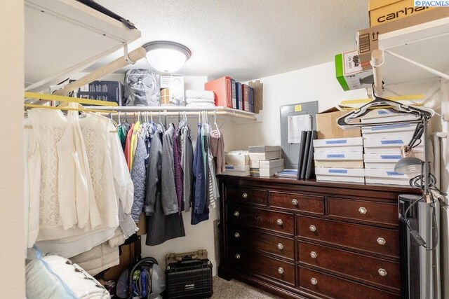 501 W California St, Garfield, WA 99130 - walk in closet with carpet floors