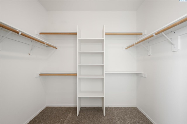 882 Pikes Peak Dr, West Richland, WA 99353 - walk in closet featuring carpet floors