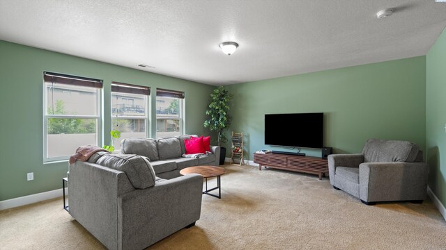 5801 Thistledown Dr, Pasco, WA 99301 - living room with carpet flooring, baseboards, and a textured ceiling