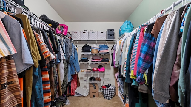 5801 Thistledown Dr, Pasco, WA 99301 - spacious closet with carpet