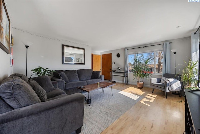 living area featuring wood finished floors