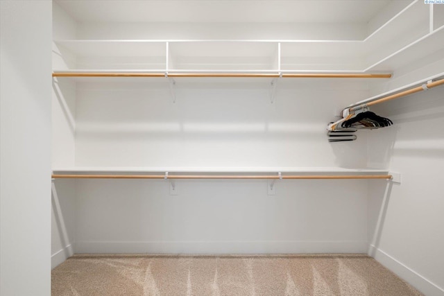 walk in closet with light carpet