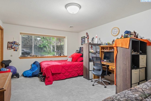 2065 NW Turner Dr, Pullman, WA 99163 - photo 15