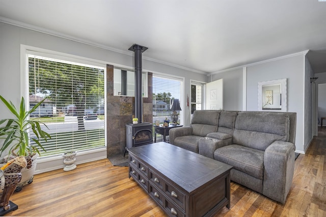 2017 Everest Ave, Richland, WA 99354 - living room with a wood stove, ornamental molding, and wood finished floors