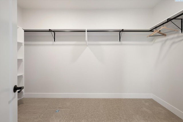 spacious closet with carpet flooring