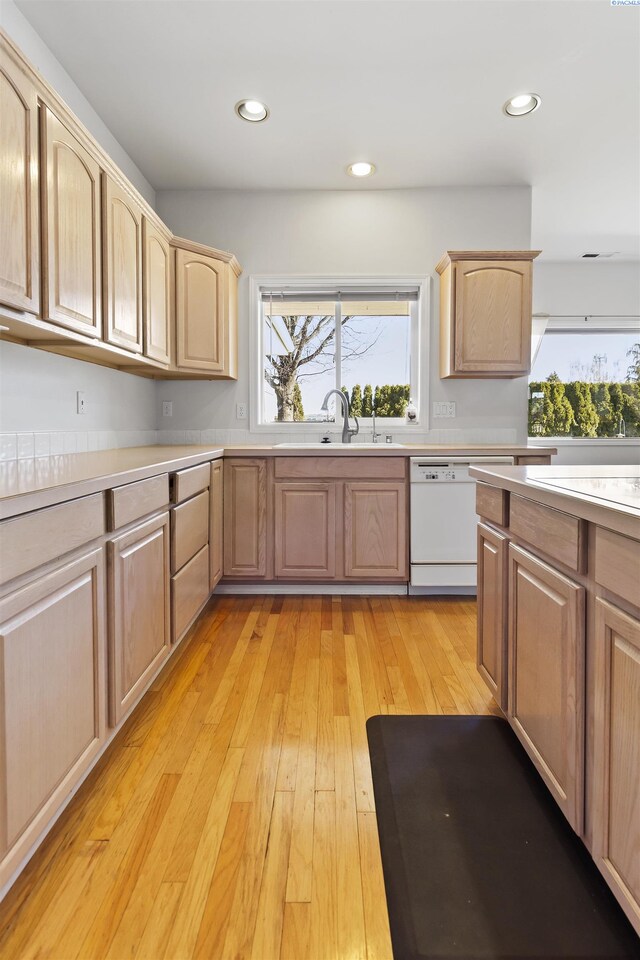 kitchen featuring white dishwasher, sink, light hardwood / wood-style floors, and light brown cabinetry