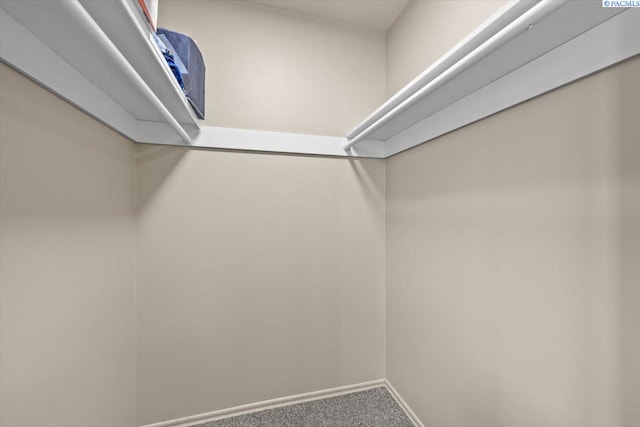 1807 Stevens Dr, Richland, WA 99354 - spacious closet with carpet flooring