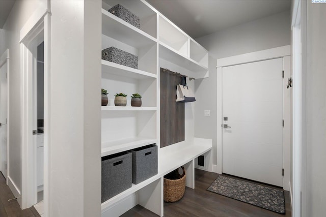 mudroom with dark wood-type flooring