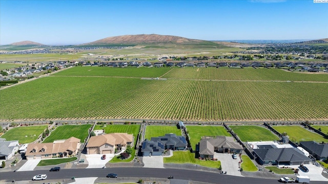 drone / aerial view with a mountain view