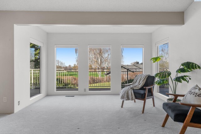 sunroom / solarium featuring visible vents