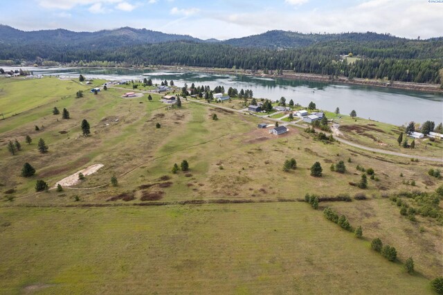 birds eye view of property featuring a water and mountain view and a forest view
