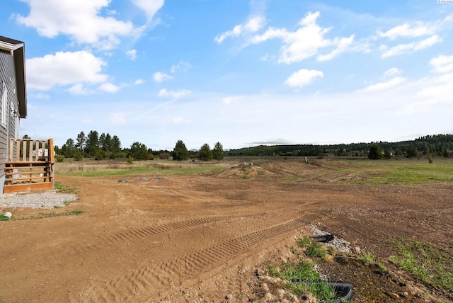 view of yard with a rural view