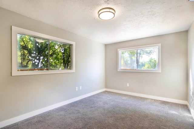 325 NW Webb St, Pullman, WA 99163 - photo 27