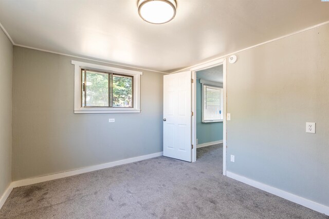 325 NW Webb St, Pullman, WA 99163 - photo 13