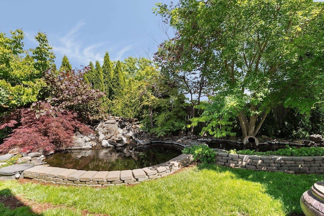 5501 Maui Ct, West Richland, WA 99353 - view of grassy yard
