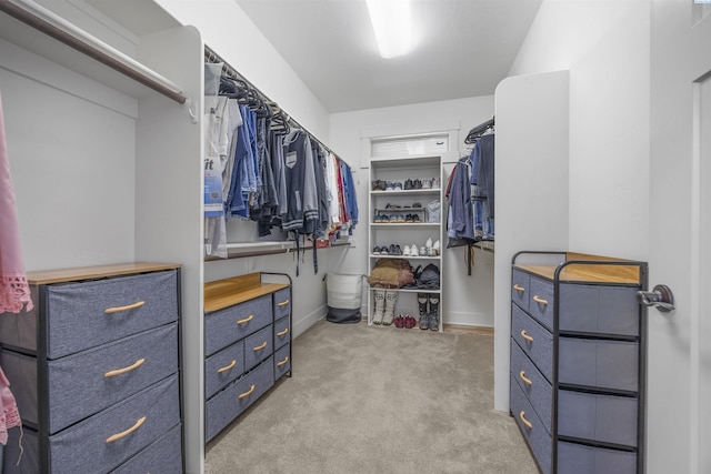 spacious closet with light carpet