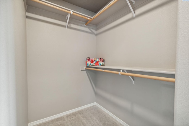 6834 W 25th Ave, Kennewick, WA 99338 - walk in closet with carpet