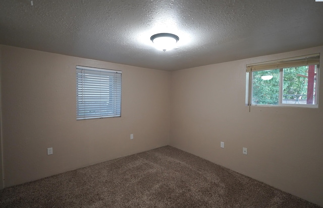 1004 NE D St, Pullman, WA 99163 - empty room with carpet floors and a textured ceiling