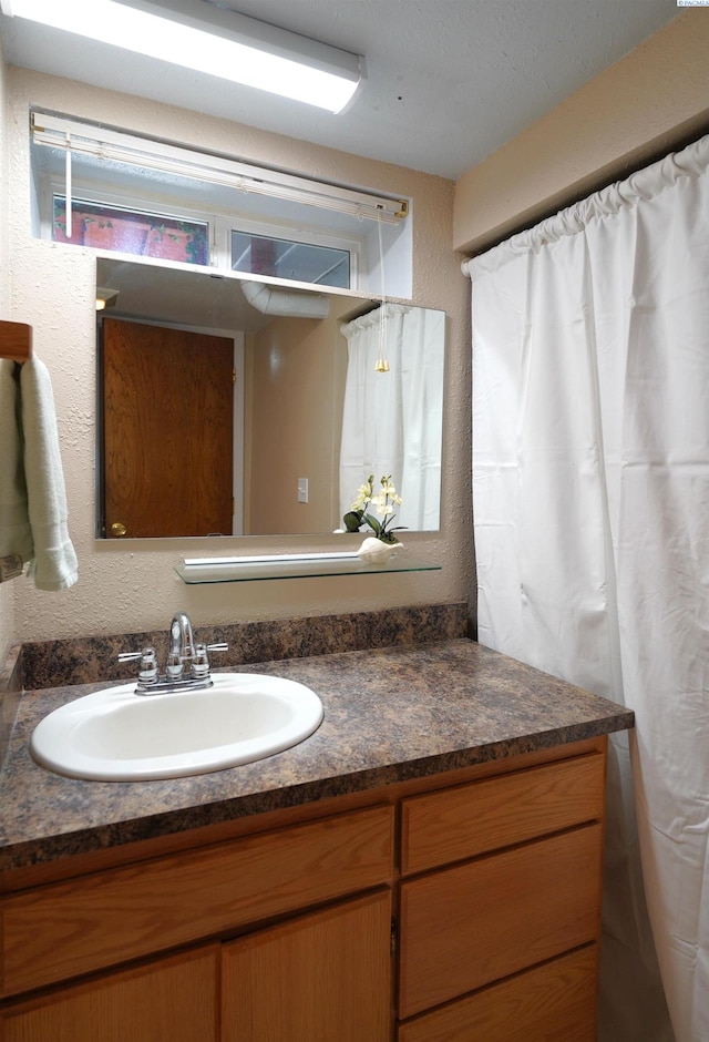 1004 NE D St, Pullman, WA 99163 - bathroom with vanity and a textured wall