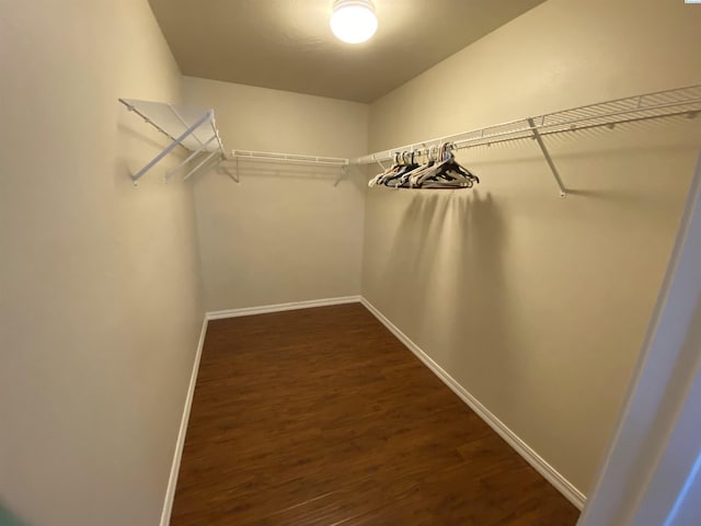 2002 Diamond Head Way, West Richland, WA 99353 - walk in closet with dark wood-style flooring