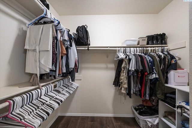 10219 W Argent Rd, Pasco, WA 99301 - spacious closet featuring wood finished floors