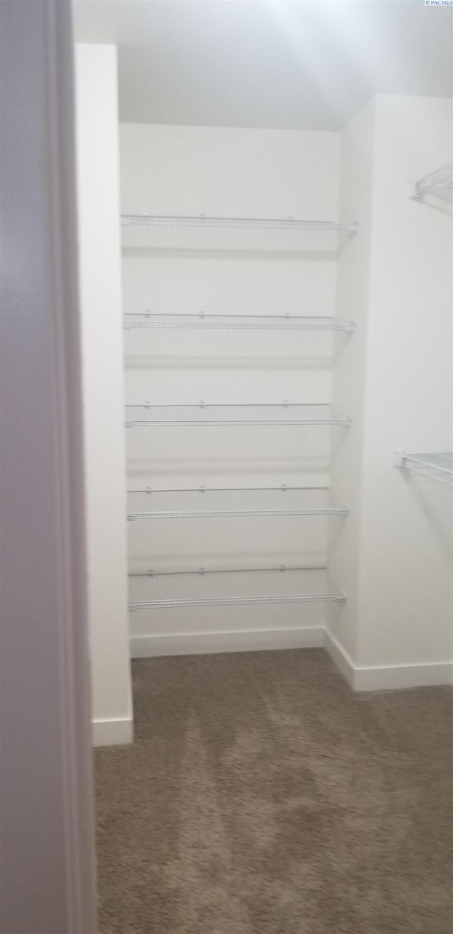 spacious closet featuring dark colored carpet