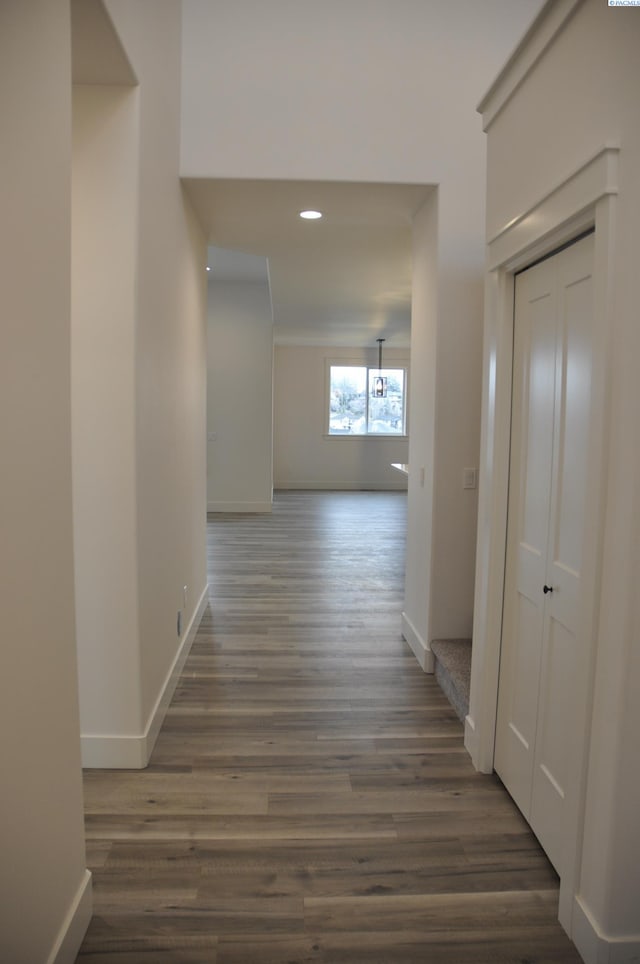 hall with dark wood-type flooring