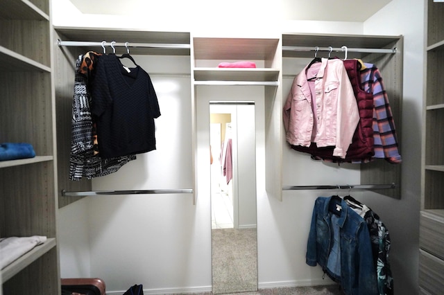 1135 SW Lost Trail Dr, Pullman, WA 99163 - walk in closet with carpet and radiator heating unit