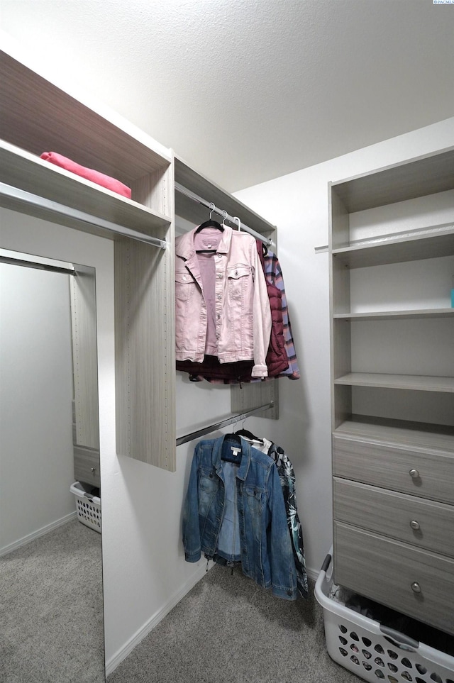 1135 SW Lost Trail Dr, Pullman, WA 99163 - walk in closet with carpet floors