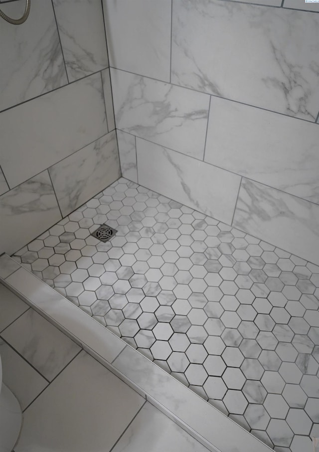 1135 SW Lost Trail Dr, Pullman, WA 99163 - bathroom view of a tile shower